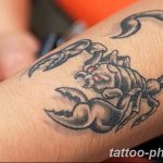 Фото рисунка скорпион 24.11.2018 №446 - photo tattoo scorpion - tattoo-photo.ru