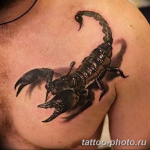 Фото рисунка скорпион 24.11.2018 №449 - photo tattoo scorpion - tattoo-photo.ru