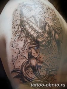 Фото рисунка скорпион 24.11.2018 №451 - photo tattoo scorpion - tattoo-photo.ru