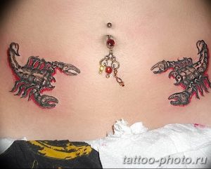 Фото рисунка скорпион 24.11.2018 №452 - photo tattoo scorpion - tattoo-photo.ru