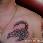 Фото рисунка скорпион 24.11.2018 №454 - photo tattoo scorpion - tattoo-photo.ru