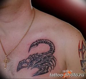 Фото рисунка скорпион 24.11.2018 №454 - photo tattoo scorpion - tattoo-photo.ru