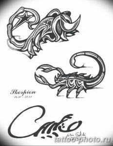 Фото рисунка скорпион 24.11.2018 №455 - photo tattoo scorpion - tattoo-photo.ru