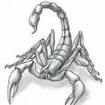 Фото рисунка скорпион 24.11.2018 №456 - photo tattoo scorpion - tattoo-photo.ru