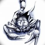 Фото рисунка скорпион 24.11.2018 №457 - photo tattoo scorpion - tattoo-photo.ru