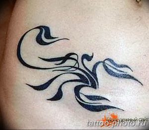 Фото рисунка скорпион 24.11.2018 №458 - photo tattoo scorpion - tattoo-photo.ru