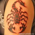 Фото рисунка скорпион 24.11.2018 №462 - photo tattoo scorpion - tattoo-photo.ru