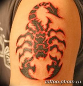 Фото рисунка скорпион 24.11.2018 №462 - photo tattoo scorpion - tattoo-photo.ru