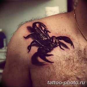 Фото рисунка скорпион 24.11.2018 №466 - photo tattoo scorpion - tattoo-photo.ru
