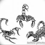 Фото рисунка скорпион 24.11.2018 №467 - photo tattoo scorpion - tattoo-photo.ru