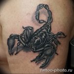 Фото рисунка скорпион 24.11.2018 №470 - photo tattoo scorpion - tattoo-photo.ru