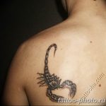 Фото рисунка скорпион 24.11.2018 №471 - photo tattoo scorpion - tattoo-photo.ru