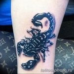 Фото рисунка скорпион 24.11.2018 №472 - photo tattoo scorpion - tattoo-photo.ru