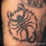 Фото рисунка скорпион 24.11.2018 №473 - photo tattoo scorpion - tattoo-photo.ru