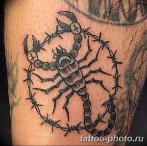 Фото рисунка скорпион 24.11.2018 №473 - photo tattoo scorpion - tattoo-photo.ru