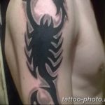 Фото рисунка скорпион 24.11.2018 №474 - photo tattoo scorpion - tattoo-photo.ru