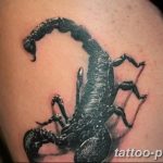 Фото рисунка скорпион 24.11.2018 №476 - photo tattoo scorpion - tattoo-photo.ru