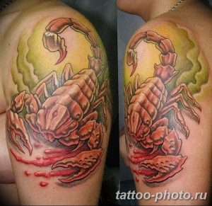 Фото рисунка скорпион 24.11.2018 №477 - photo tattoo scorpion - tattoo-photo.ru