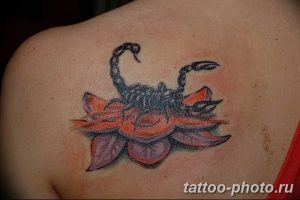 Фото рисунка скорпион 24.11.2018 №478 - photo tattoo scorpion - tattoo-photo.ru