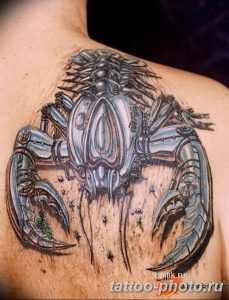 Фото рисунка скорпион 24.11.2018 №480 - photo tattoo scorpion - tattoo-photo.ru