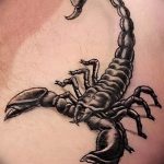 Фото рисунка скорпион 24.11.2018 №484 - photo tattoo scorpion - tattoo-photo.ru