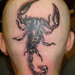 Фото рисунка скорпион 24.11.2018 №485 - photo tattoo scorpion - tattoo-photo.ru