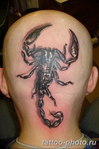 Фото рисунка скорпион 24.11.2018 №485 - photo tattoo scorpion - tattoo-photo.ru