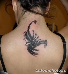 Фото рисунка скорпион 24.11.2018 №486 - photo tattoo scorpion - tattoo-photo.ru