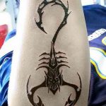 Фото рисунка скорпион 24.11.2018 №487 - photo tattoo scorpion - tattoo-photo.ru