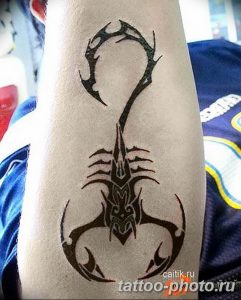 Фото рисунка скорпион 24.11.2018 №487 - photo tattoo scorpion - tattoo-photo.ru