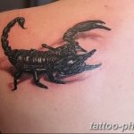 Фото рисунка скорпион 24.11.2018 №488 - photo tattoo scorpion - tattoo-photo.ru