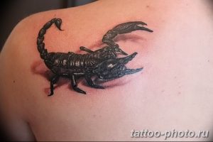 Фото рисунка скорпион 24.11.2018 №488 - photo tattoo scorpion - tattoo-photo.ru