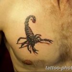 Фото рисунка скорпион 24.11.2018 №492 - photo tattoo scorpion - tattoo-photo.ru