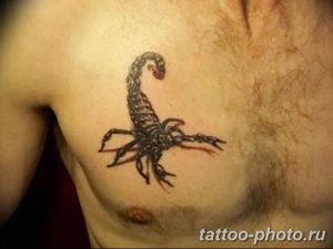 Фото рисунка скорпион 24.11.2018 №492 - photo tattoo scorpion - tattoo-photo.ru