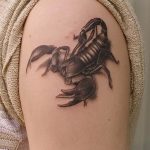 Фото рисунка скорпион 24.11.2018 №493 - photo tattoo scorpion - tattoo-photo.ru