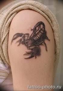 Фото рисунка скорпион 24.11.2018 №493 - photo tattoo scorpion - tattoo-photo.ru