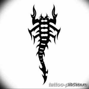Фото рисунка скорпион 24.11.2018 №494 - photo tattoo scorpion - tattoo-photo.ru