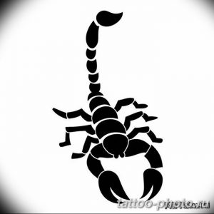 Фото рисунка скорпион 24.11.2018 №497 - photo tattoo scorpion - tattoo-photo.ru