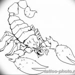 Фото рисунка скорпион 24.11.2018 №498 - photo tattoo scorpion - tattoo-photo.ru