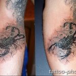 Фото рисунка скорпион 24.11.2018 №499 - photo tattoo scorpion - tattoo-photo.ru