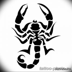 Фото рисунка скорпион 24.11.2018 №500 - photo tattoo scorpion - tattoo-photo.ru