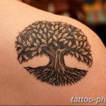 Фото рисунка тату круг 22.11.2018 №075 - photo tattoo circle - tattoo-photo.ru