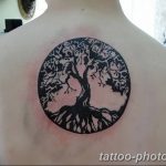 Фото рисунка тату круг 22.11.2018 №131 - photo tattoo circle - tattoo-photo.ru