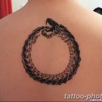 Фото рисунка тату круг 22.11.2018 №220 - photo tattoo circle - tattoo-photo.ru