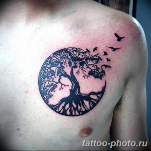 Фото рисунка тату круг 22.11.2018 №244 - photo tattoo circle - tattoo-photo.ru