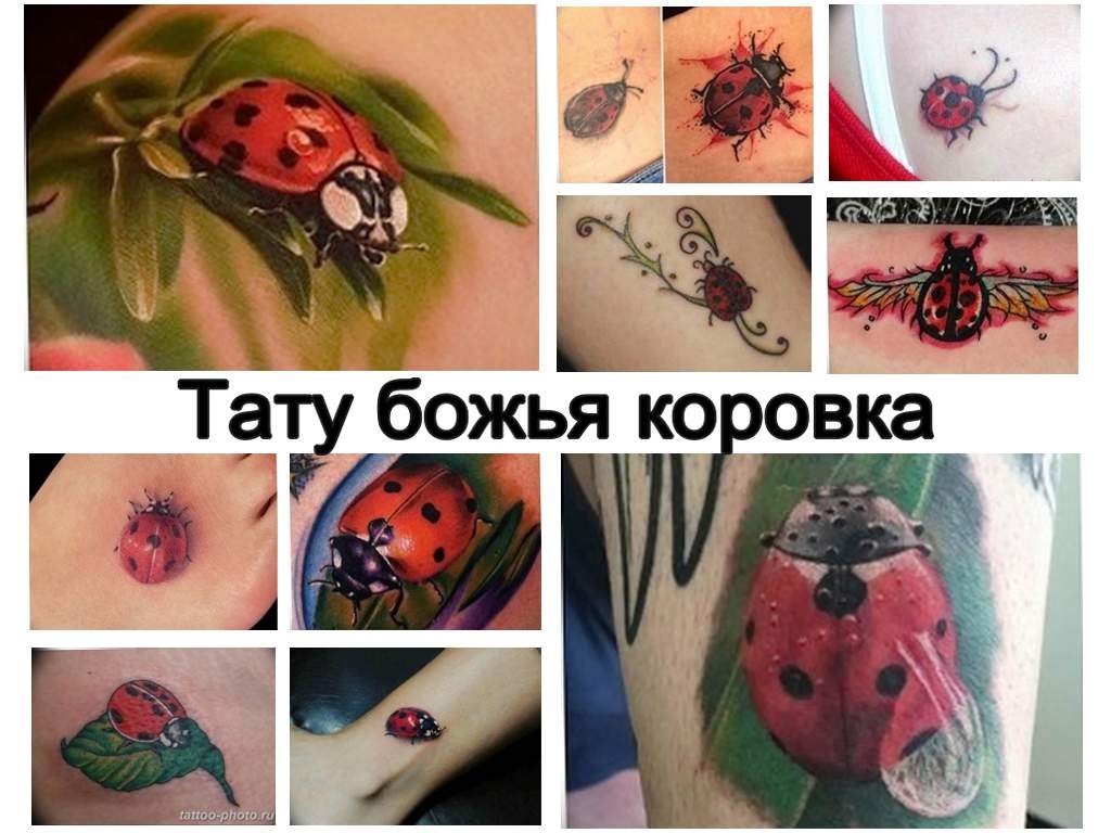 Значение тату божья коровка - история рисунка и фото примеры готовых татуировок