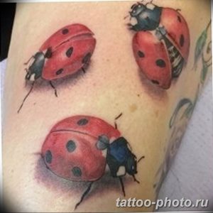 фото идея тату божья коровка 22.12.2018 №012 - photo ladybug tattool- tattoo-photo.ru