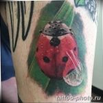 фото идея тату божья коровка 22.12.2018 №014 - photo ladybug tattool- tattoo-photo.ru