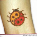 фото идея тату божья коровка 22.12.2018 №021 - photo ladybug tattool- tattoo-photo.ru