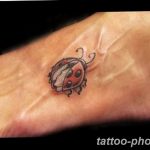 фото идея тату божья коровка 22.12.2018 №028 - photo ladybug tattool- tattoo-photo.ru